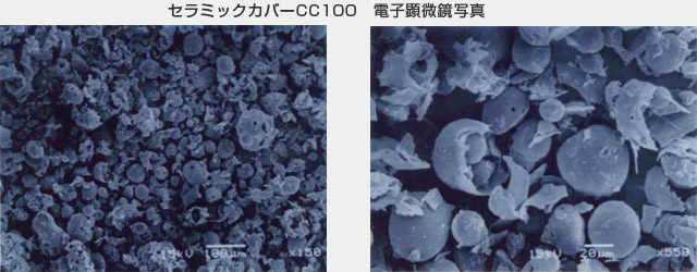 CC100電子顕微鏡写真